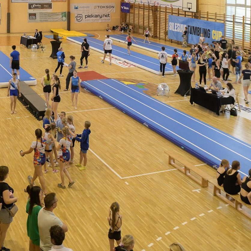 SILESIAN TUMBLING CUP